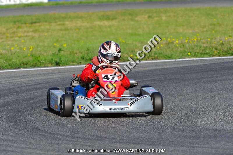 DSC_ (934).jpg